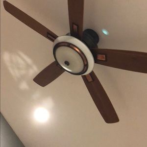 Meet your Posher, Corey